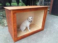 /album/fotogalerie/psi-bouda-zavetrna-jpg1/